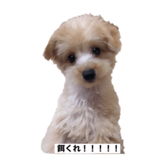 [LINEスタンプ] horike0204