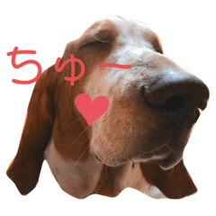 [LINEスタンプ] かわいいルークver
