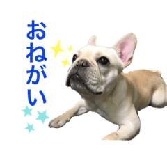 [LINEスタンプ] フレブルブライアンスタンプPart1