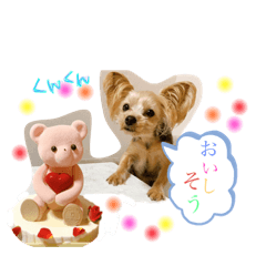 [LINEスタンプ] ヨーキーきぃちゃん
