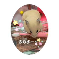 [LINEスタンプ] のびのび坊ちゃんスタンプ