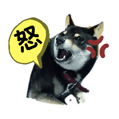 [LINEスタンプ] チビ太と仲間