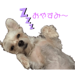 [LINEスタンプ] ラッキー＆ハッピーの日常プラス