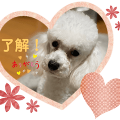 [LINEスタンプ] 銀太！