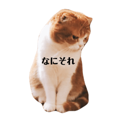 [LINEスタンプ] ニョッキな日々