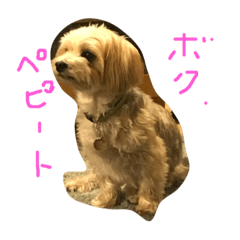 [LINEスタンプ] ペピート