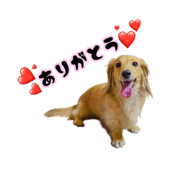 [LINEスタンプ] 自己満スタンプです(o^^o)