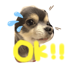 [LINEスタンプ] KIDchan