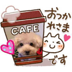 [LINEスタンプ] トイプードル食いしん坊のもりちゃん