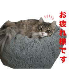 [LINEスタンプ] わたちびび様