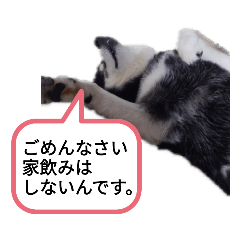 [LINEスタンプ] オンライン飲みお断り