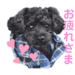 [LINEスタンプ] うちのオレオ