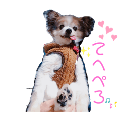 [LINEスタンプ] ベッキーライフスタイル