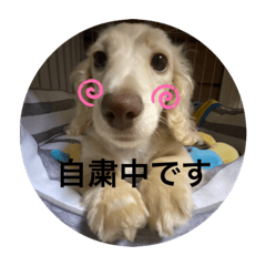 [LINEスタンプ] みるごん