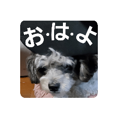 [LINEスタンプ] レオくんと仲間たち②