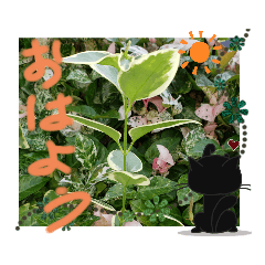 [LINEスタンプ] 元気なplant