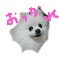 [LINEスタンプ] 可愛い 2