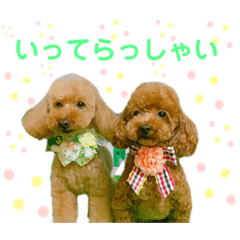 うえはら家のペットたち