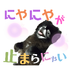 [LINEスタンプ] ポメとダックス 4