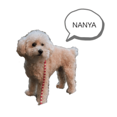 [LINEスタンプ] まーち①