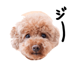 [LINEスタンプ] もーちんあーちん