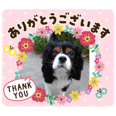 [LINEスタンプ] 未来くん