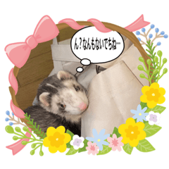 [LINEスタンプ] フェレット団❤️