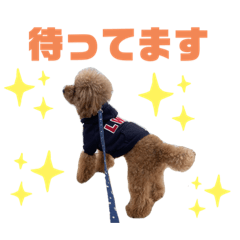 [LINEスタンプ] 内弁慶ノアくん