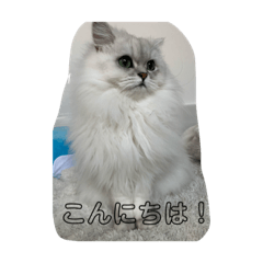 [LINEスタンプ] 可愛い桃ちゃんスタンプ❤️❤️
