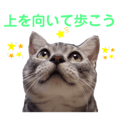 [LINEスタンプ] 二代目マック②
