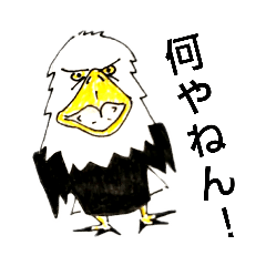 [LINEスタンプ] White head eagle怒り