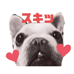 [LINEスタンプ] あみブルちゃん3