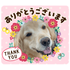 [LINEスタンプ] うちのこスタンプパート4