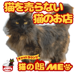 [LINEスタンプ] 猫の館ME LINE スタンプ Vol.1
