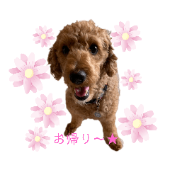 [LINEスタンプ] 俺とオレと時々兄さん