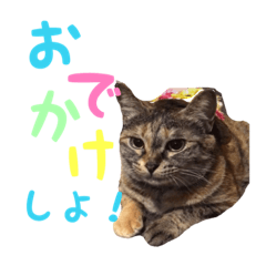 [LINEスタンプ] さじゅモジャふぁみりーのスタンプ