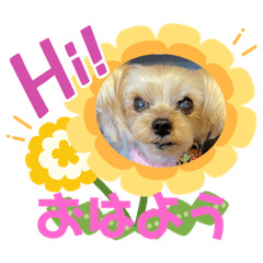 [LINEスタンプ] しずちゃんといっしょ☆