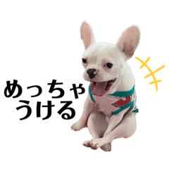 [LINEスタンプ] 毎日こいちろう