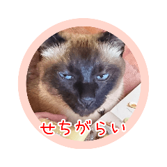 [LINEスタンプ] るーだますたんぷ3