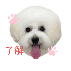[LINEスタンプ] 犬専用スタンプ❤