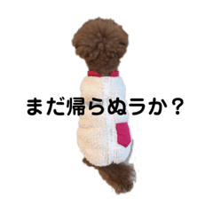 [LINEスタンプ] pola 2