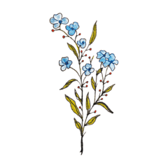 [LINEスタンプ] Blooming Days