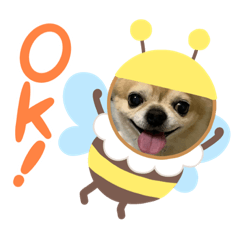 [LINEスタンプ] じぇりくんの1日