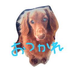 [LINEスタンプ] うりき