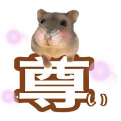 [LINEスタンプ] ふところさんとほそころさん2