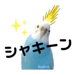 [LINEスタンプ] ♀こじろー3