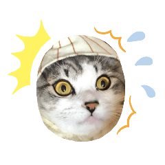 [LINEスタンプ] 虎太＆蘭丸