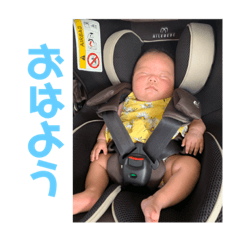 [LINEスタンプ] ハマダナノ