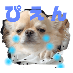 [LINEスタンプ] 日常で使えるぺー⑵