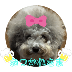 [LINEスタンプ] モフモフトイプードルの小梅2